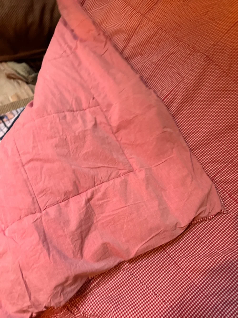 Rare Pottery Barn Kids Gingham twin comforter organic cotton Vintage collectors